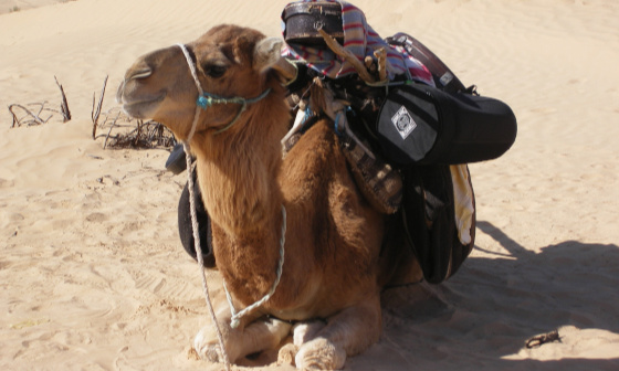 Anklang’sche Instrumente unterwegs in der Sahara